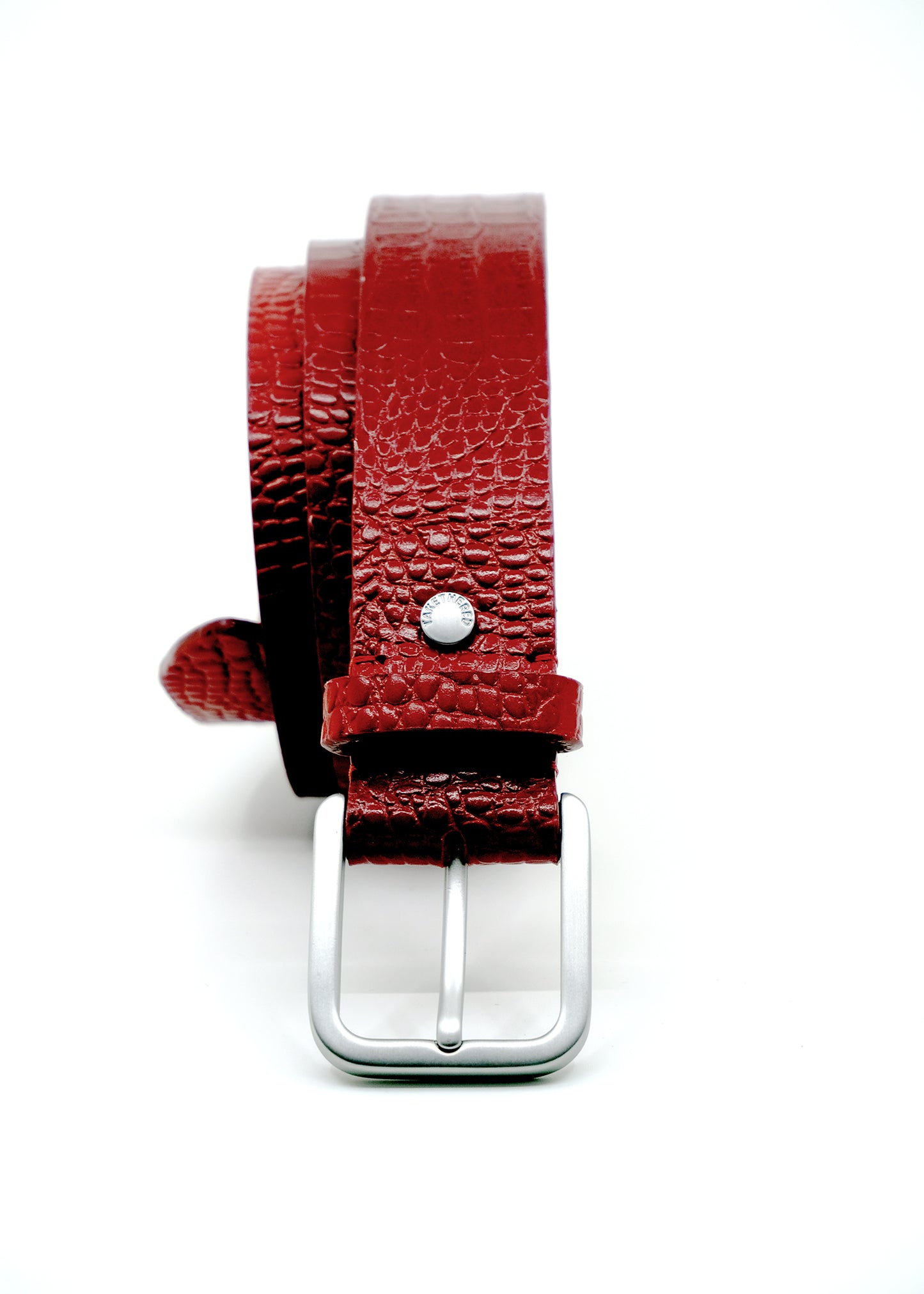 Vertical profile of coiled blood red Mississippi Belt with alligator-embossed leather and a silver metal buckle.