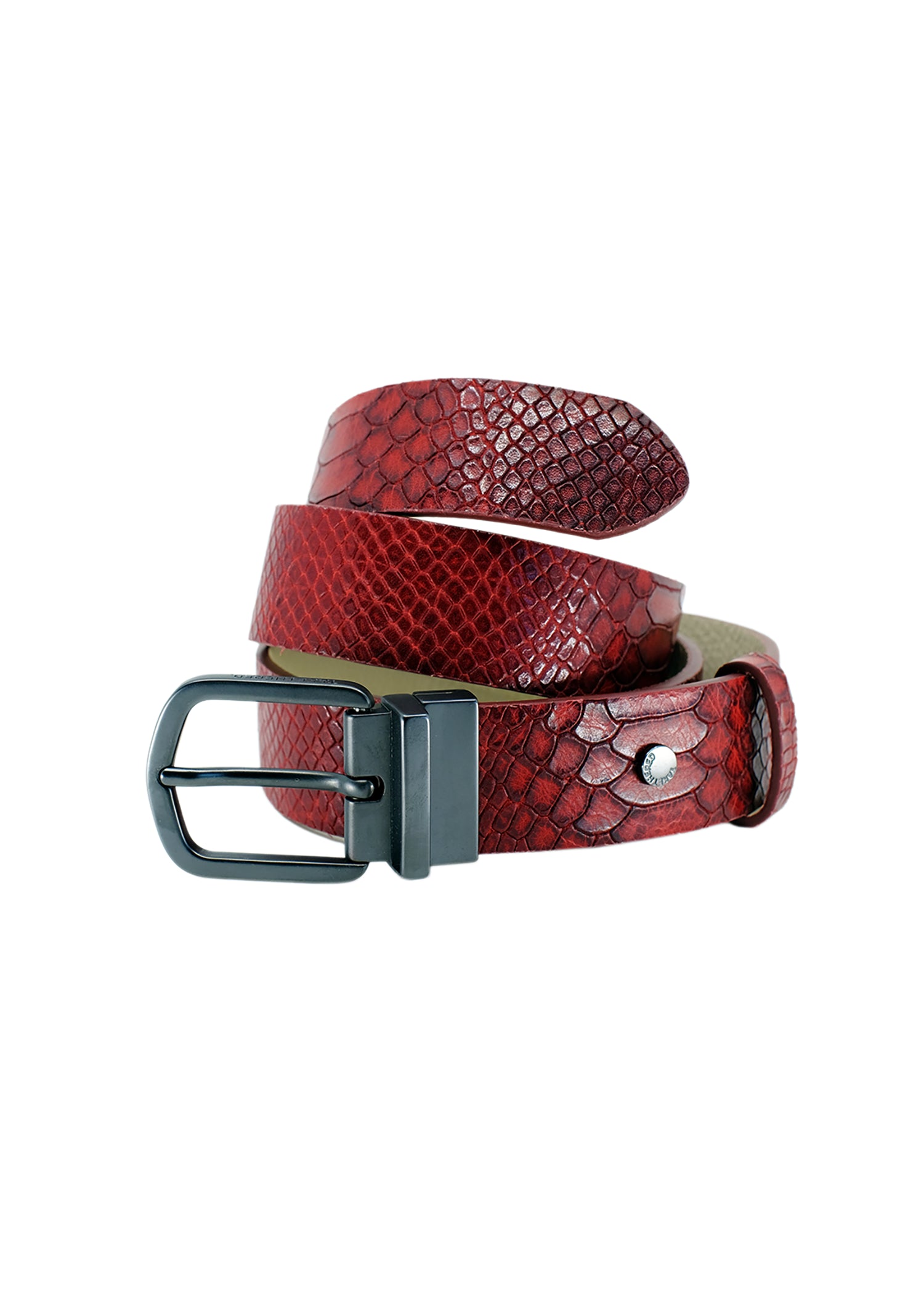 Coiled Two-Face belt showing the Blood Simple snakeskin embossed leather side and its reversible black swivel buckle, isolated on a white background.